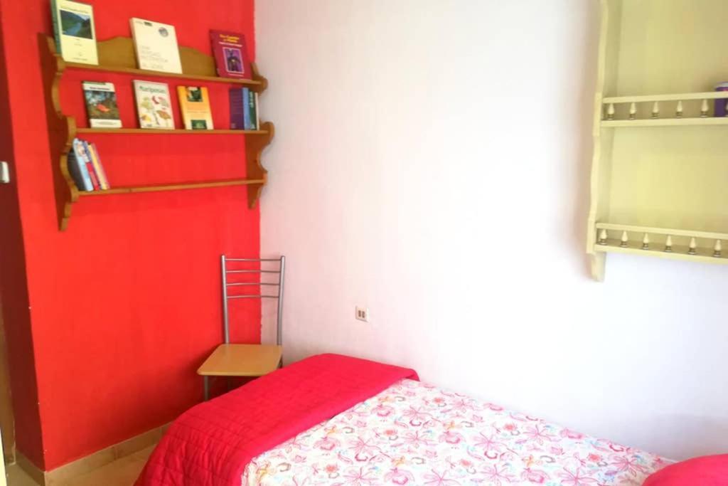 Bonito Apartamento Centro Onil מראה חיצוני תמונה