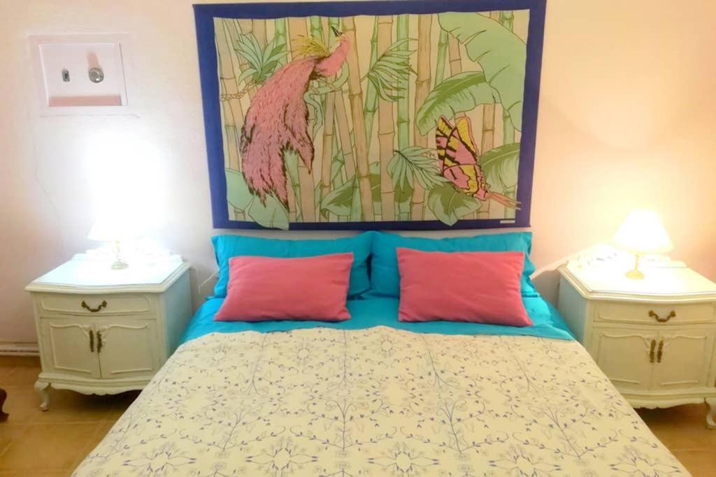 Bonito Apartamento Centro Onil מראה חיצוני תמונה